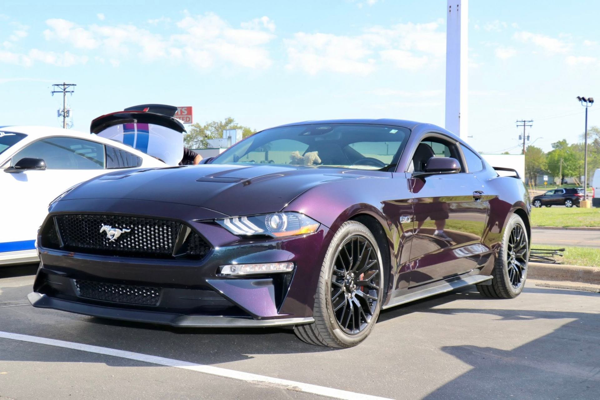 2026 Mustang Run photo 58