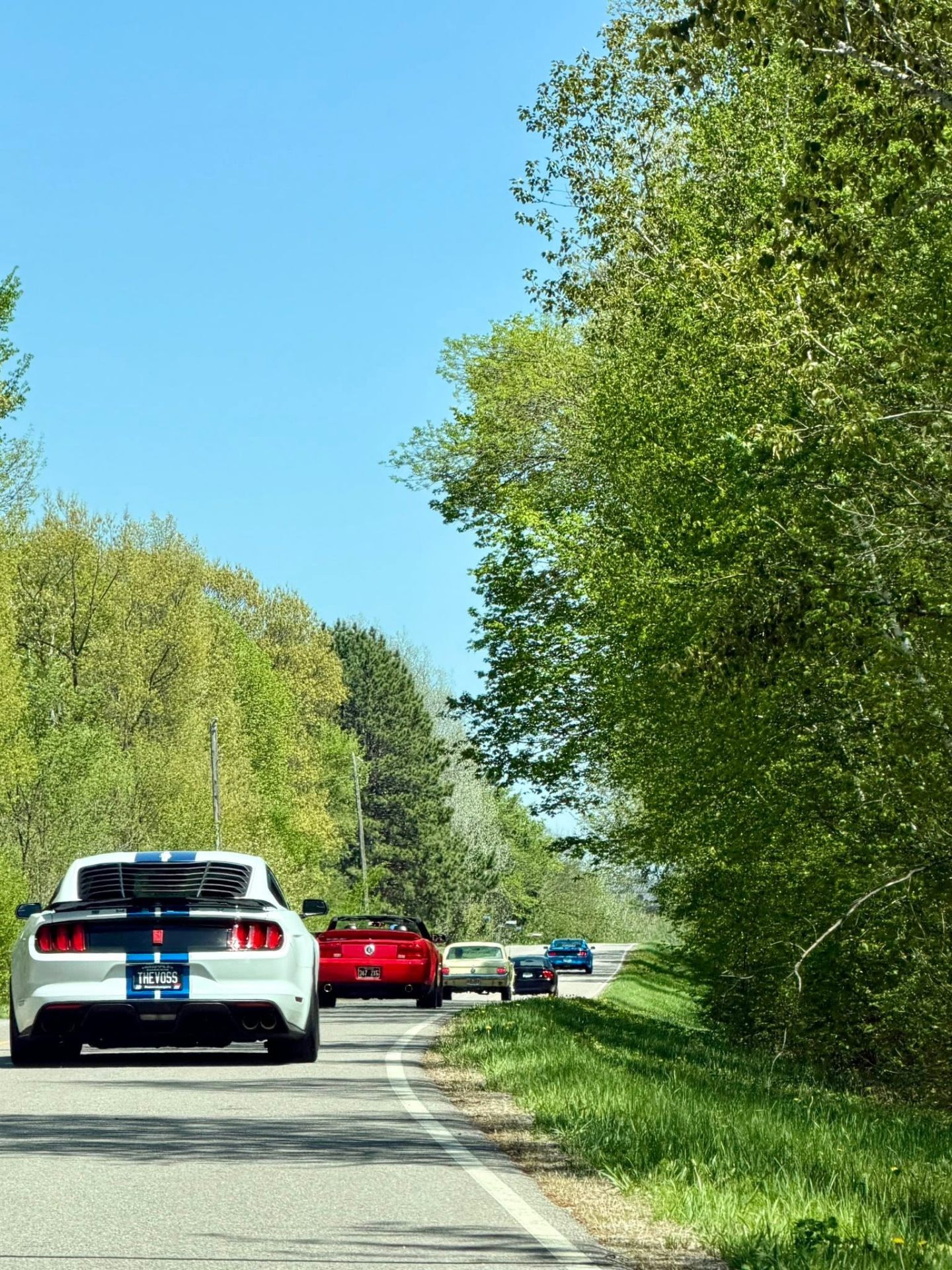 2026 Mustang Run photo 4